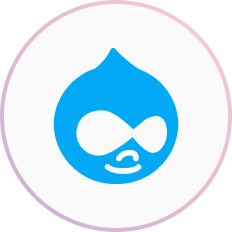 Drupal Services