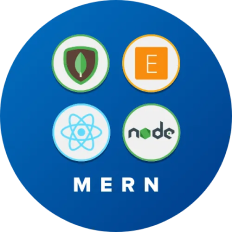 MERN development